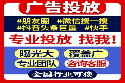 某电商平台的SEM广告投放策略及效果评估